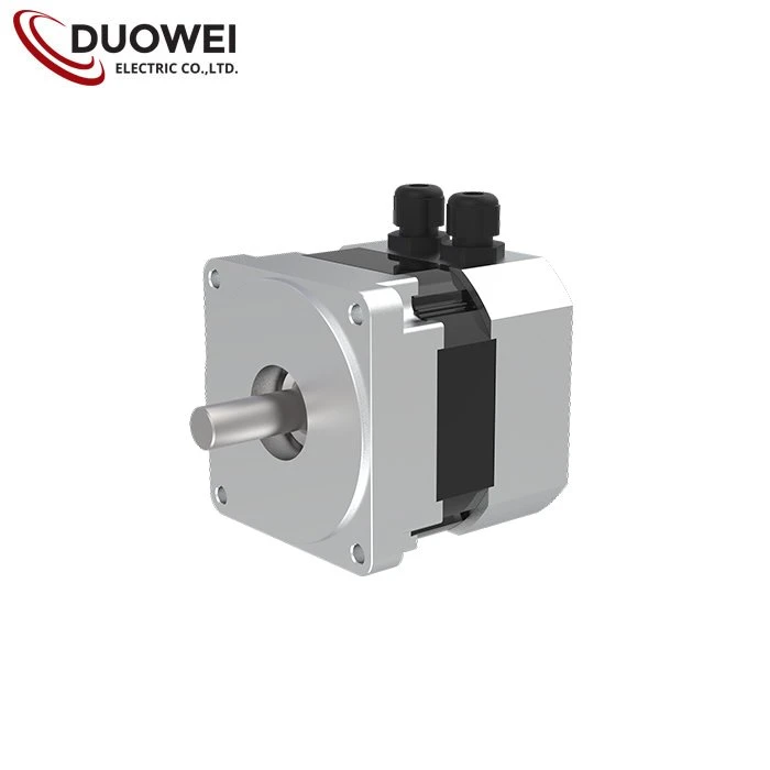 48V DC Brushless Motor